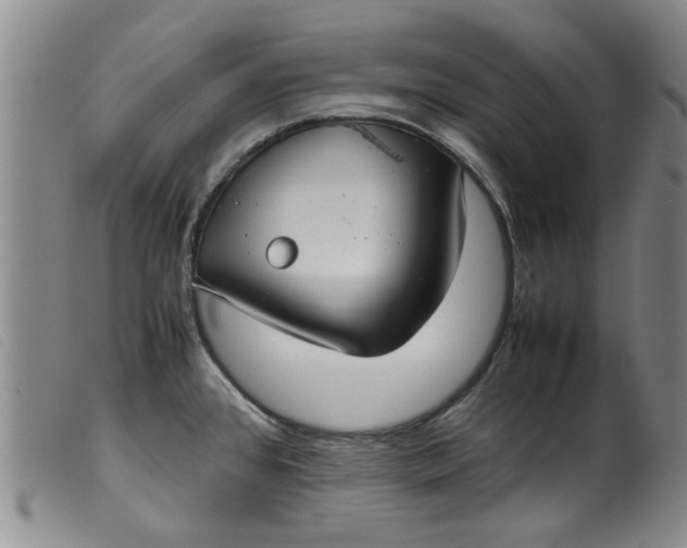 X0000099411384200805231553