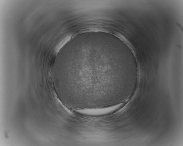 X0000099411385200805231553