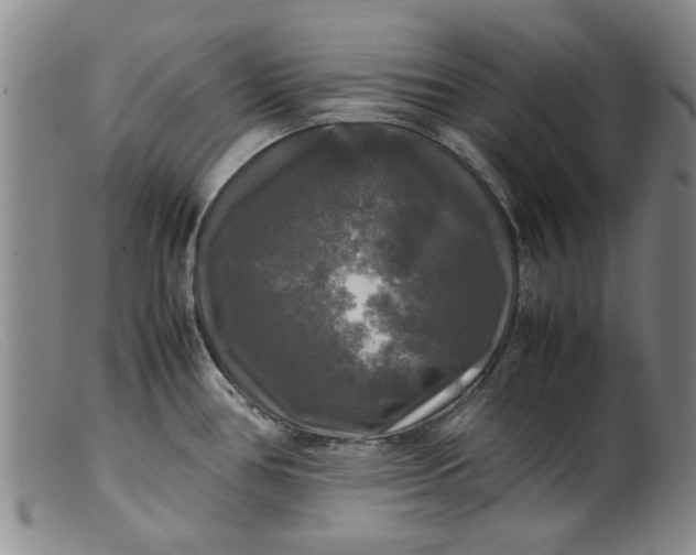 X0000099411386200805231553