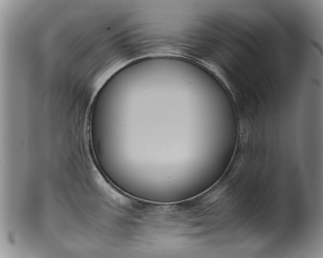 X0000099411387200805231553