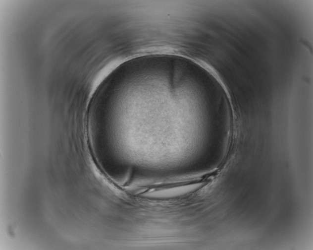 X0000099411389200805231553