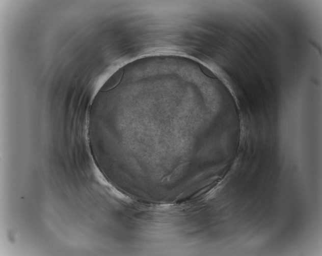 X0000099411390200805231553