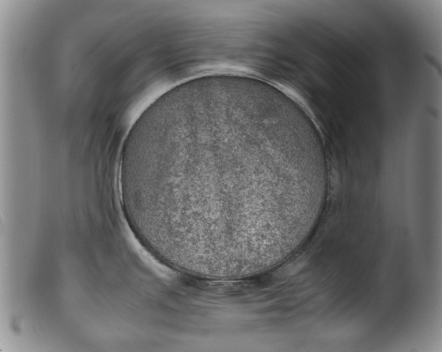 X0000099411391200805231553