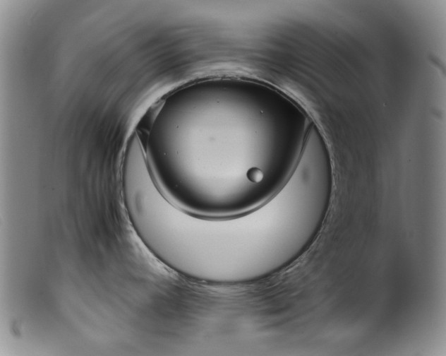 X0000099411392200805231553