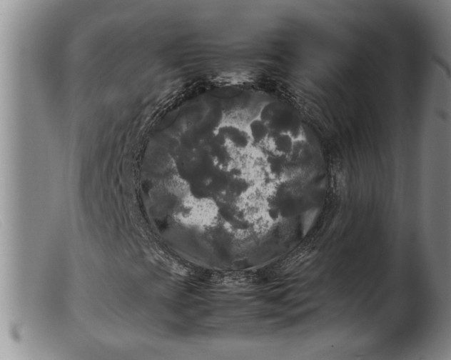 X0000099411393200805231552