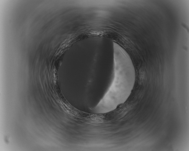 X0000099411394200805231552