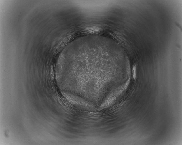 X0000099411395200805231552