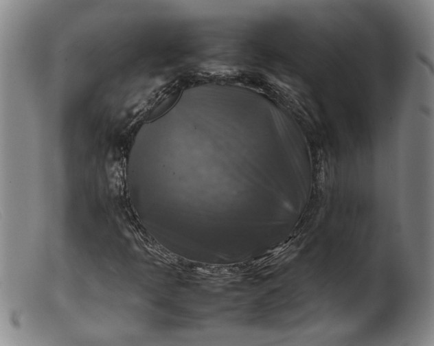 X0000099411397200805231552