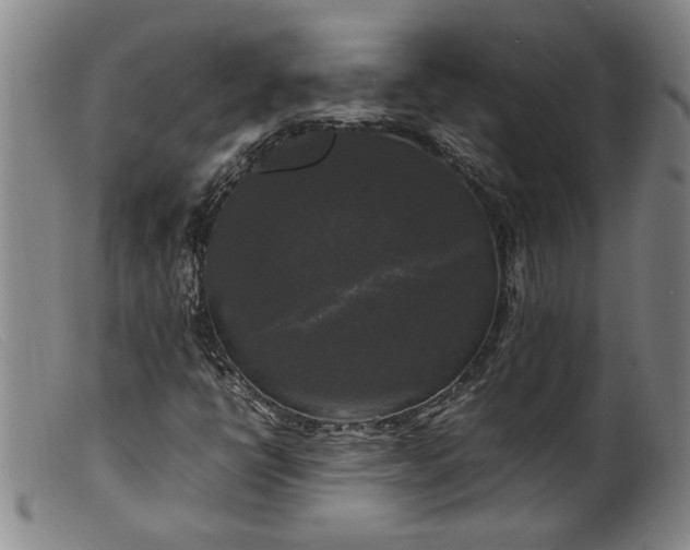 X0000099411398200805231552