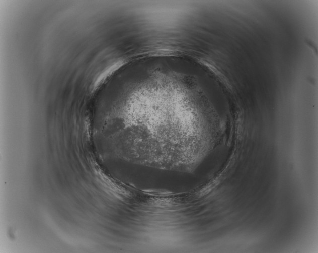 X0000099411402200805231553