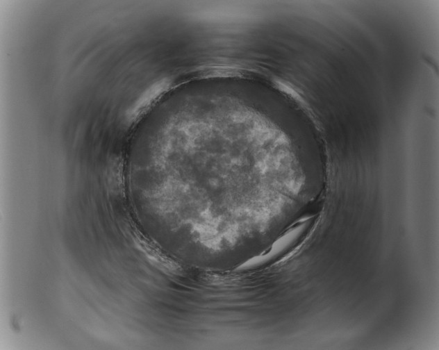 X0000099411403200805231553