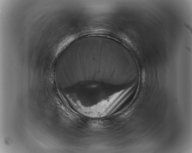 X0000099411405200805231553