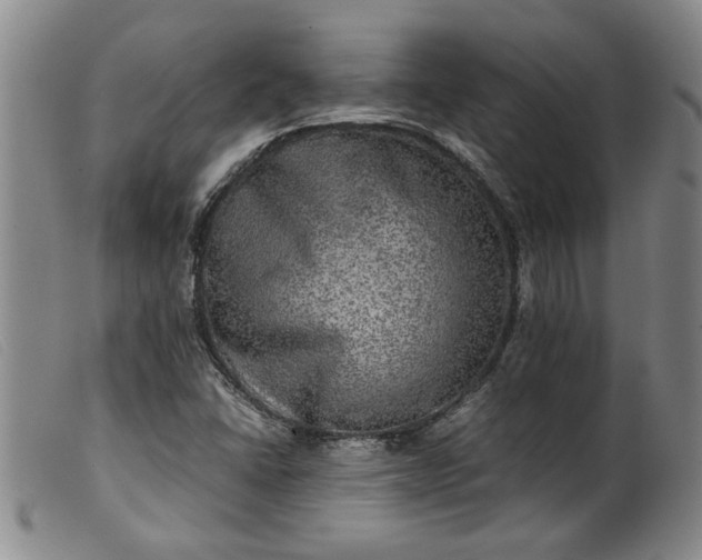 X0000099411406200805231553