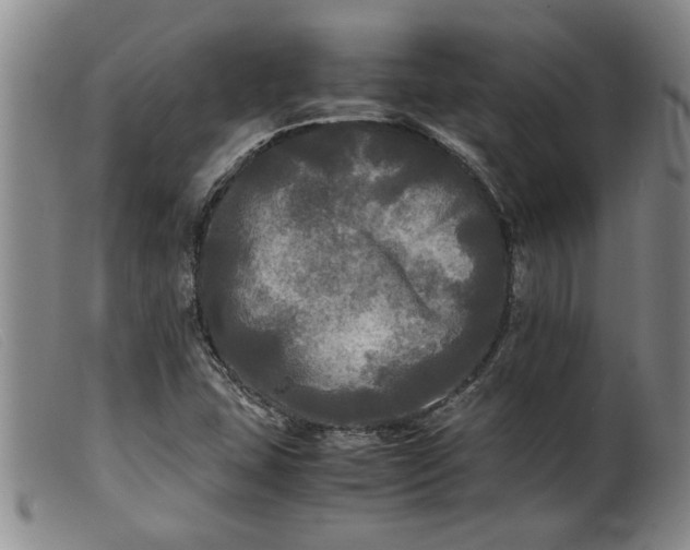 X0000099411407200805231553