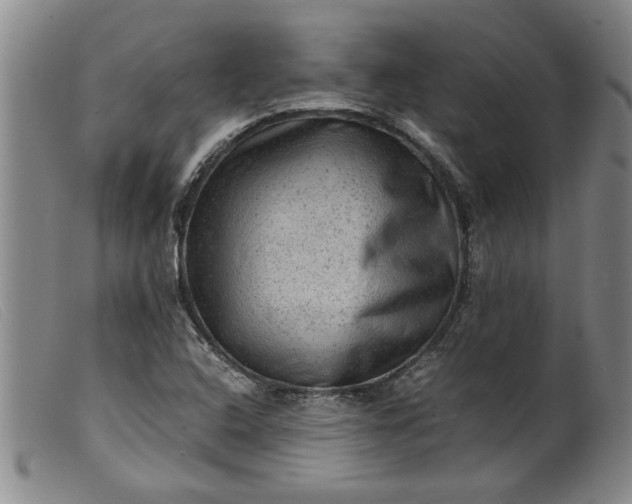 X0000099411408200805231553