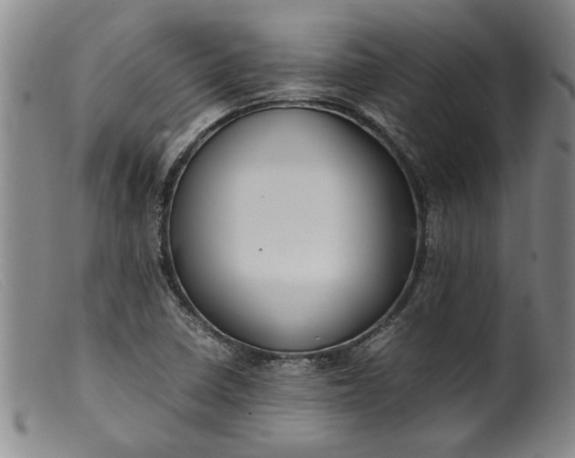 X0000099411410200805231553