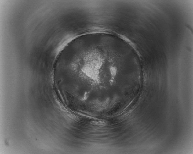 X0000099411415200805231553