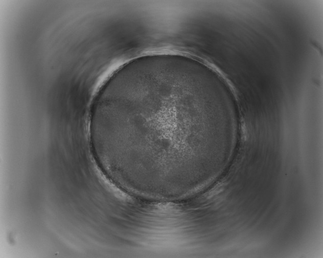 X0000099411416200805231553