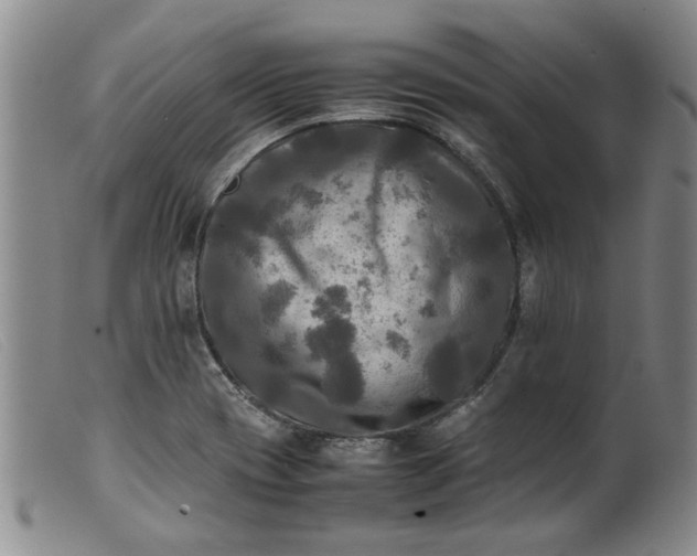 X0000099411417200805231553