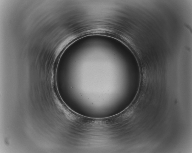 X0000099411418200805231553