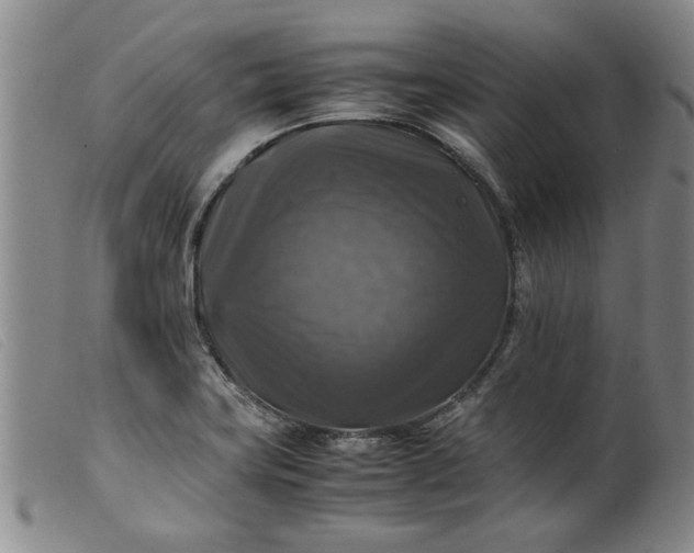 X0000099411419200805231553