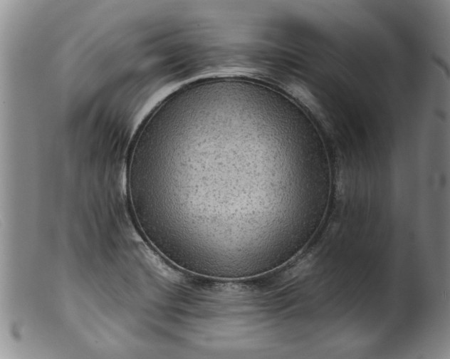 X0000099411420200805231553