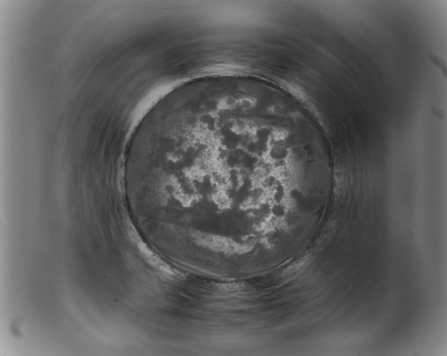 X0000099411421200805231553