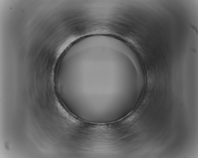 X0000099411422200805231553