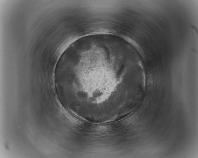 X0000099411423200805231553