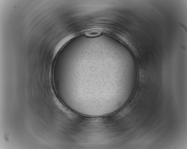 X0000099411426200805231553