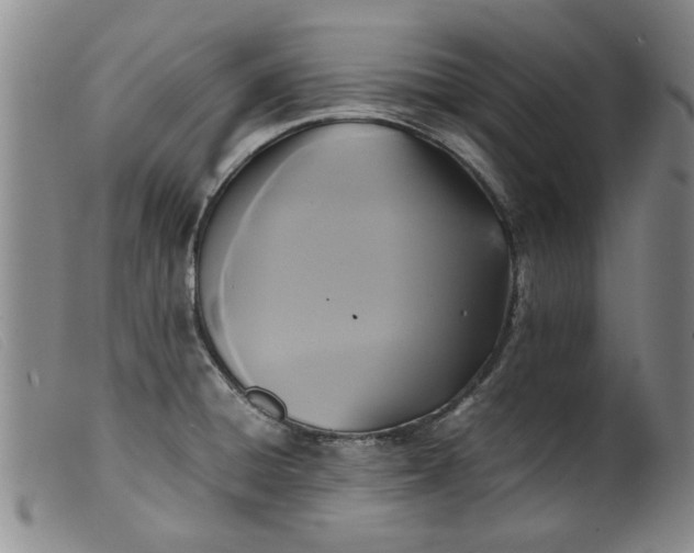 X0000099411428200805231553