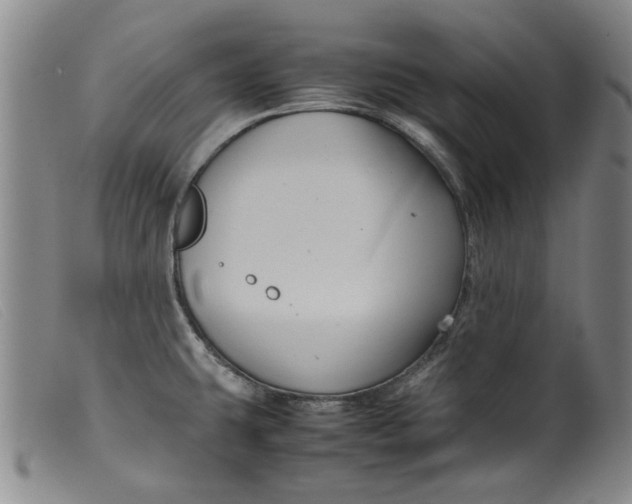 X0000099411431200805231553