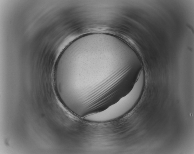 X0000099411432200805231553