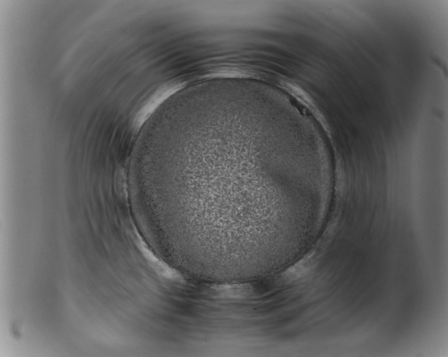 X0000099411433200805231553