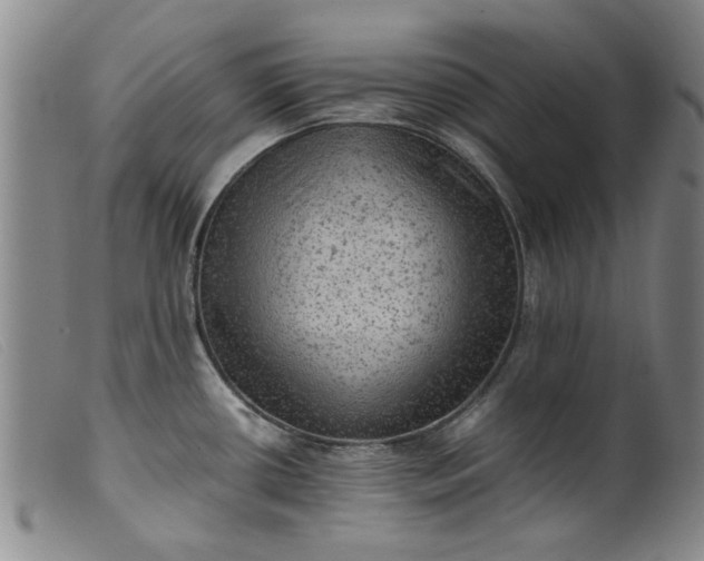 X0000099411434200805231553