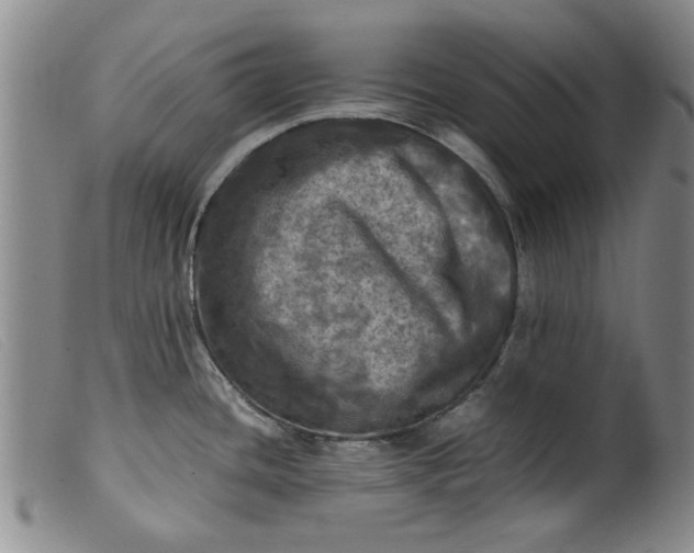 X0000099411436200805231553