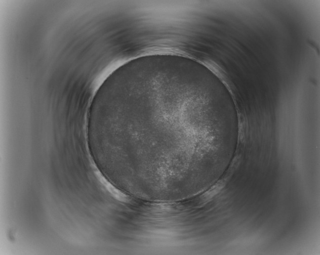 X0000099411438200805231553