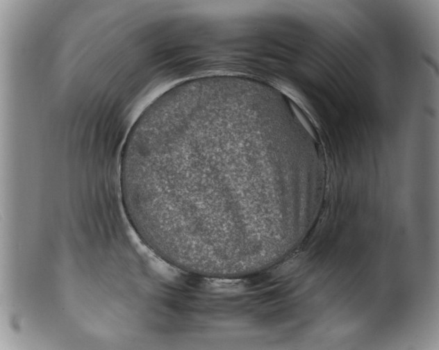 X0000099411439200805231553