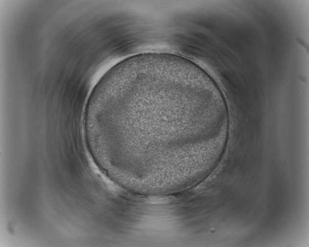 X0000099411440200805231553