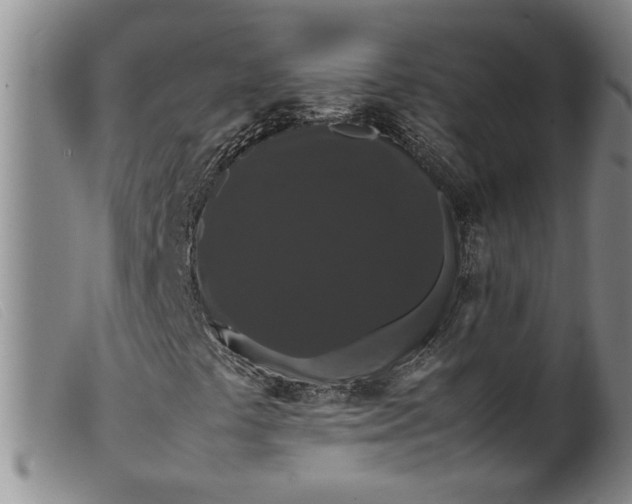 X0000099411441200805231552