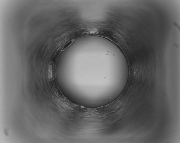 X0000099411442200805231552