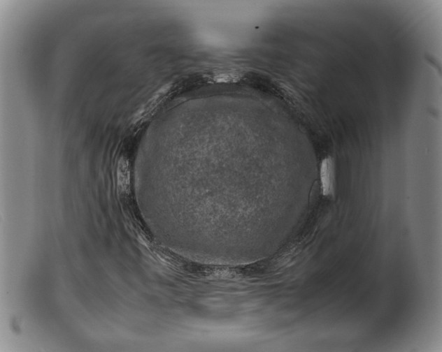 X0000099411443200805231552