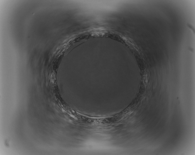 X0000099411445200805231552