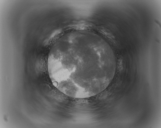 X0000099411446200805231552