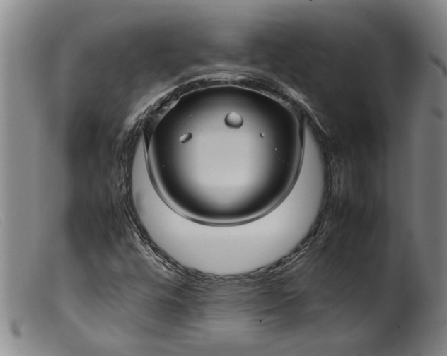 X0000099411448200805231552