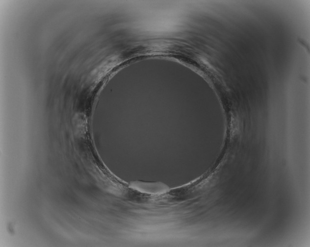 X0000099411449200805231552