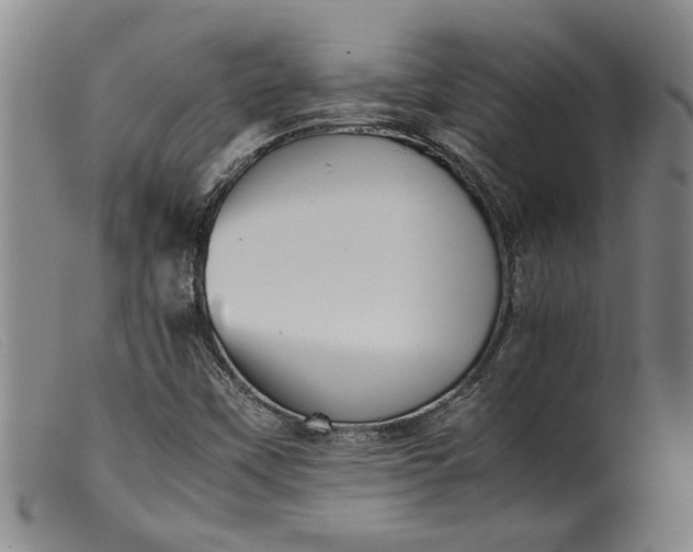 X0000099411451200805231552