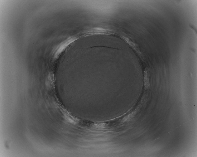 X0000099411453200805231552