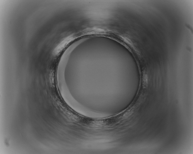 X0000099411455200805231552