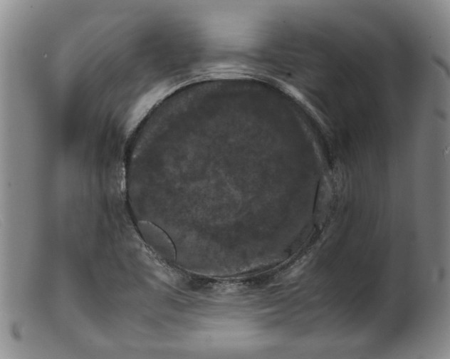 X0000099411461200805231552